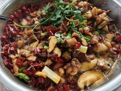 -食神又名厕所兔