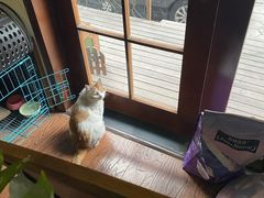 -啡萃咖啡店(铜锣湾店)