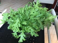 -海大大蒸汽海鲜餐厅·粤菜·特色小炒(欢乐颂店)