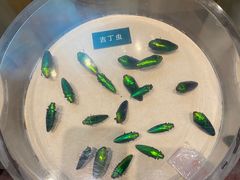 -陕西自然博物馆