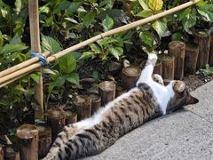 -晓港公园