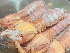 本地皮皮虾-必点海鲜·鲅鱼水饺(鞍山西道店)