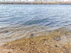 -长白岛森林公园