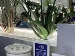 -兰湘子·湘菜小炒(崂山丽达店)