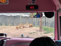 -北京野生动物园