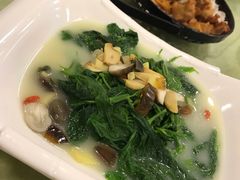 上汤桑叶-喜运来酒楼(江南大道店)