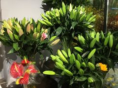 -靳晖金百合花艺GOLDENLILY(南院门店)