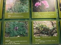-青藏高原自然博物馆