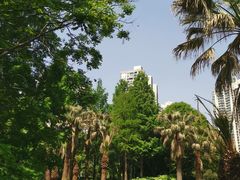 -苏州河梦清园环保主题公园