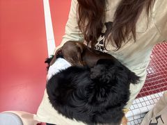-和它·交个朋友·狗咖猫咖(爱琴海店)