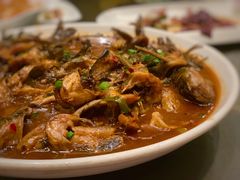 红烧昂刺鱼-老东吴食府(雅都店)