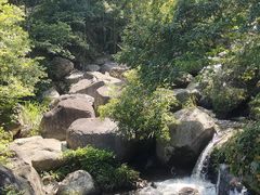 -大围山国家森林公园
