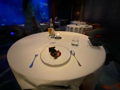 -迪拜帆船酒店海底餐厅