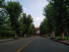 -四川大学(望江校区)