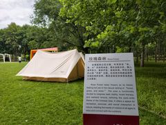 -大望京公园