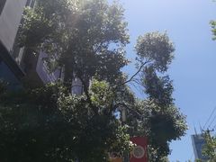 -梅龙镇广场