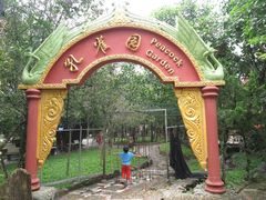 -瑞丽独树成林风景区