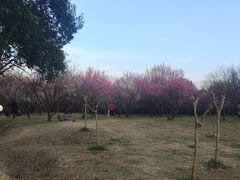 -蜀冈西峰生态公园