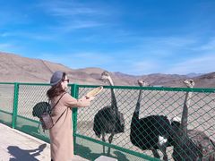 -新疆天山野生动物园