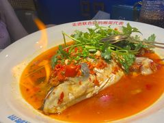 -坛宗剁椒鱼头(河西王府井店)