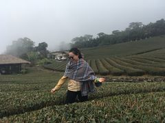 -优游吧斯邹族文化部落