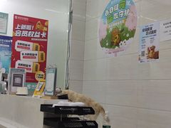 -瑞派动物医院·猫专科·至诚(江南中分院)