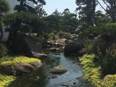 景点-罗红摄影艺术馆