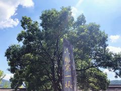 -宁波溪口古镇-民国大杂院