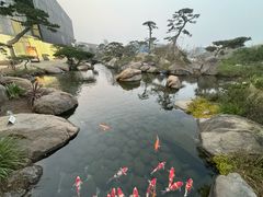 -罗红摄影艺术馆