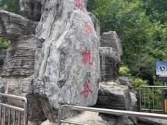 -大岭沟猕猴桃谷风景区
