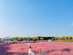 -嘉北郊野公园