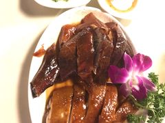 -香港深井掂檔烧鹅茶餐厅(海韵城店)