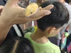 -上海昆虫博物馆