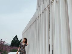 -紫颐香薰山谷景区