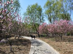 -东郊湿地公园