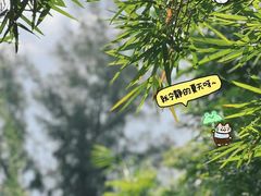 -华侨城湿地公园