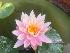 -星云文教馆