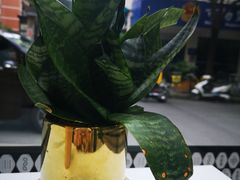 -OT另茶(上海幸福里店)
