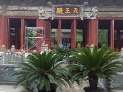 -报恩寺(平武县)