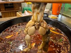-鸿顺老铁锅美蛙鱼府(解放碑店)