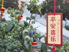 -天河体育中心