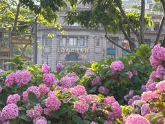 -关你鬼室大型密室逃脱(佛山创意园店)