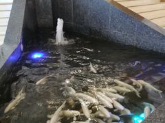 -家饰佳(宜山路店)