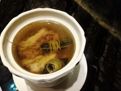 -金碧轩粤菜海鲜大酒楼