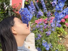 -人民公园(罗湖区)