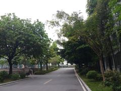 -佛山市第一中学