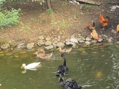 -长白岛森林公园