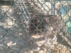 -北京鹿世界主题园