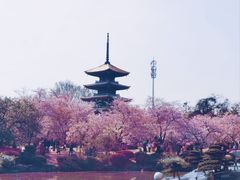 -东湖磨山景区