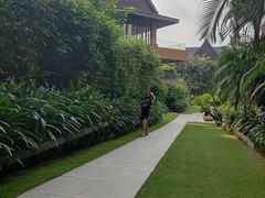 -三亚湾红树林度假世界(木棉酒店)